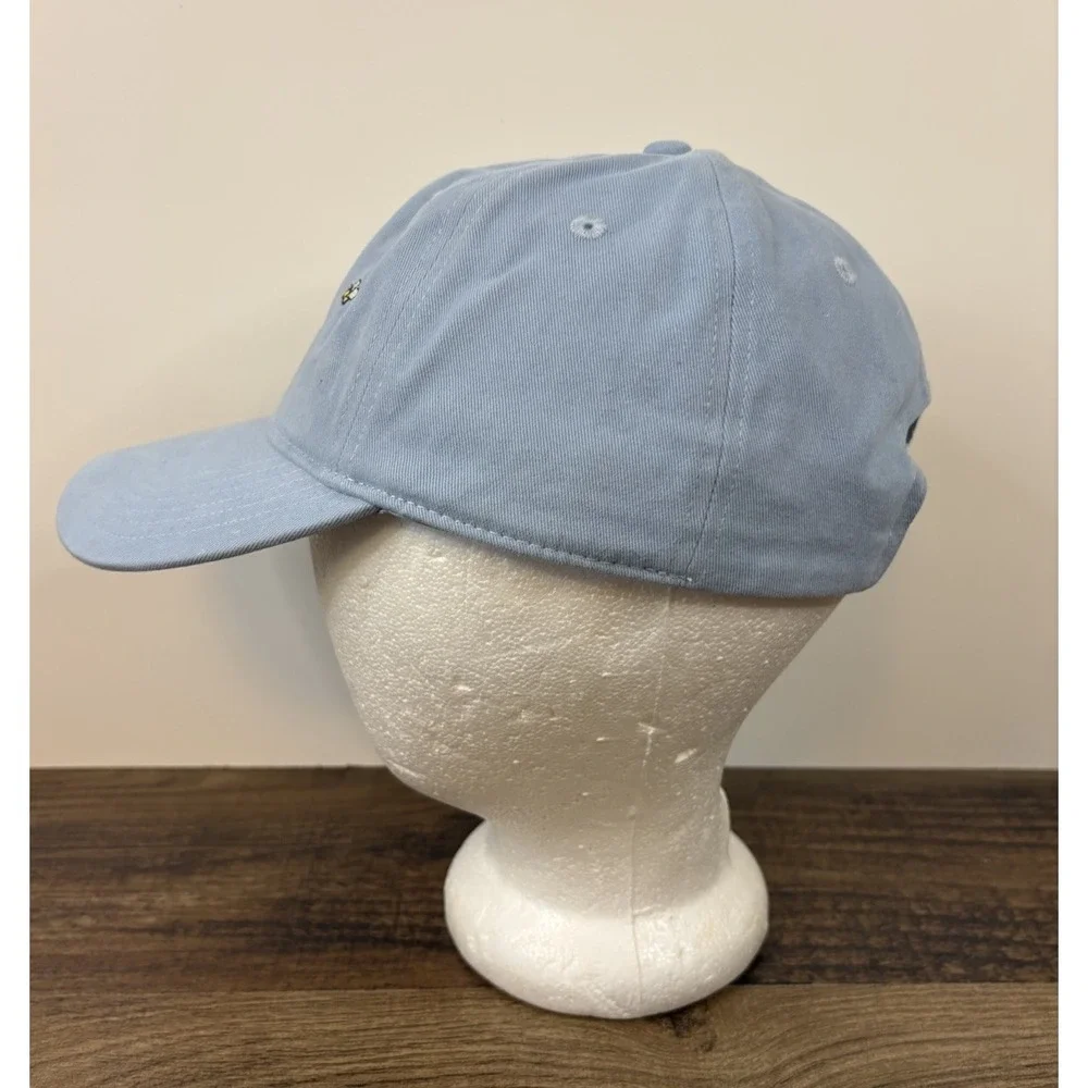 Vintage Winnie the Pooh Hat Embroidered Disney Cap Hat Light Blue Strap Back